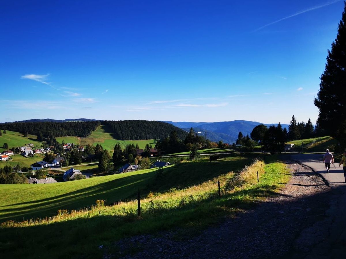 PHOTO-2021-05-16-21-54-42